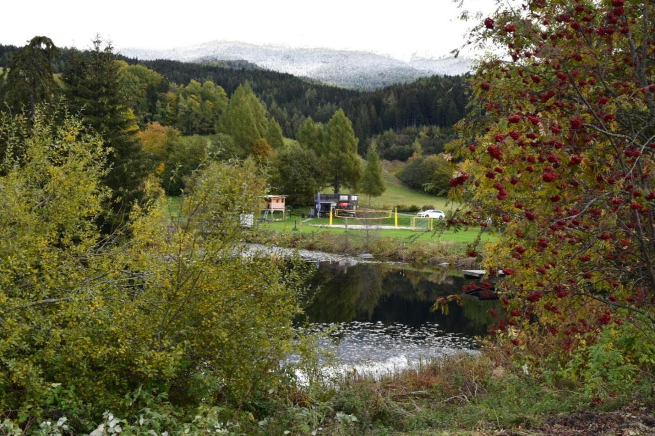 Ferienwohnung Familie Pichler Neumarkt in Steiermark Zewnętrze zdjęcie