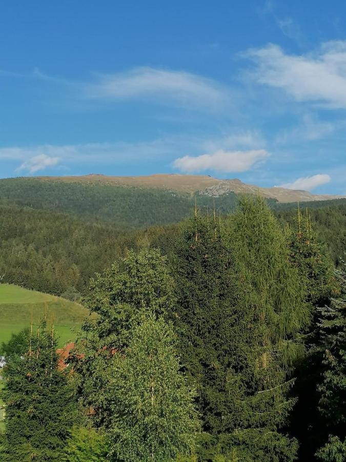 Ferienwohnung Familie Pichler Neumarkt in Steiermark Zewnętrze zdjęcie