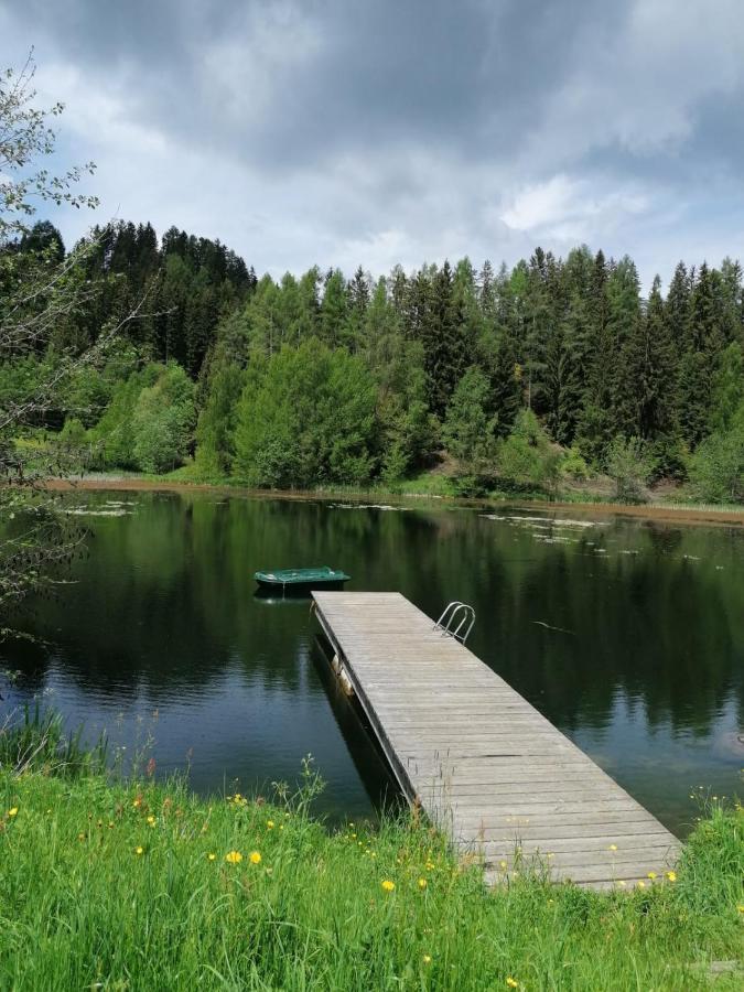 Ferienwohnung Familie Pichler Neumarkt in Steiermark Zewnętrze zdjęcie