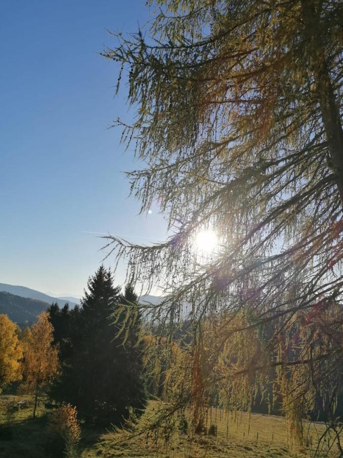 Ferienwohnung Familie Pichler Neumarkt in Steiermark Zewnętrze zdjęcie