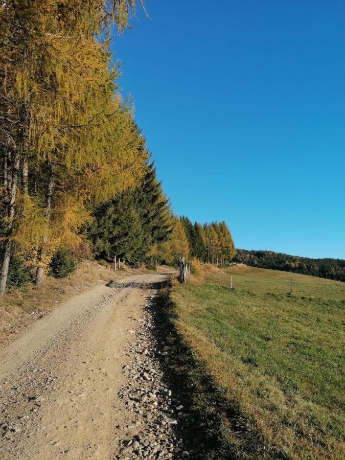 Ferienwohnung Familie Pichler Neumarkt in Steiermark Zewnętrze zdjęcie